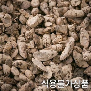 국산 향부자 비식품용