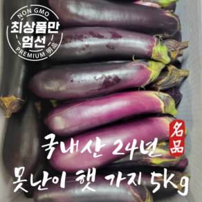 [한정특가] 국내산 못난이 가지 햇 가지 신선한 가지 5kg