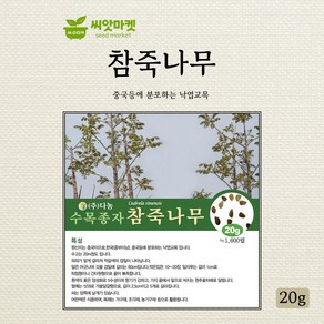 다농 참죽나무 씨앗 20g, 1개