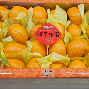 제주 감귤 청량한 환타맛 신품종 윈터프린스 2kg 3kg 5kg 선물세트, 1박스, 2kg(10과내외), 프리미엄 윈터프린스