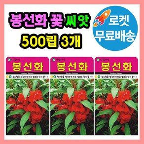 봉선화 씨앗 (합 1500립) 봉숭아 꽃씨 종자, 3개