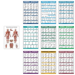 덤벨스트레칭바디웨이트요가근육운동 포스터 차트