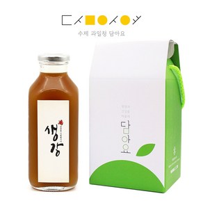 담아요 수제청 과일청 1구 선물세트, 1세트, [1구]생강청650g(국산유리병)