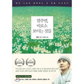 멈추면 비로소 보이는 것들:혜민 스님과 함께하는 내 마음 다시보기