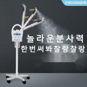 미용실 피부샵 스팀기 얼굴 머리 헤어 모공 스파 스티머 안개 미스트 기계