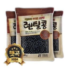 현대농산 검정 렌틸콩 1.8kg (600gx3봉) 블랙 렌즈콩, 3개