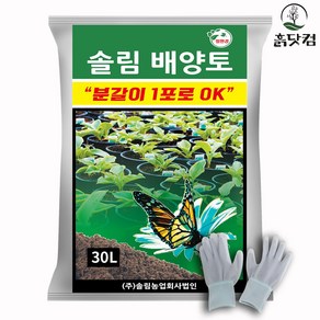 흙닷컴 솔림 배양토 30L 화분 베란다 분갈이 흙 장갑, 1개