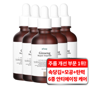 오브웨이 6종 펩타이드 주름 탄력 기능성 안티에이징 유기농 홍삼 리페어 앰플, 5개, 50ml