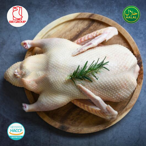 Halal Whole Duck Fozen & Pemium Quality Thailand 태국 할랄 프리미엄 냉동 통오리, 1개, 2.4kg