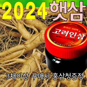 금산인삼아줌마 인삼 (2호)6년난발삼 750g 산지에서 발송 가정용 수삼, 6년난발삼(2호) 750g, 1개