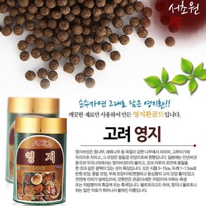 영지환 영지환골드 영지 서초원 병제품 약4000정, 300g, 1개