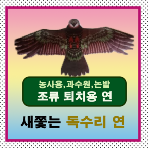 새쫓는연 독수리연 (까치 비둘기 참새등새 조류퇴치), 1개, 1개입