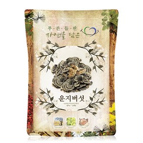 푸른들판 국내산 건조 운지버섯 구름버섯, 1개, 500g