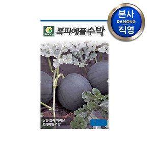 흑피 애플수박 씨앗 5립 . 미니 작은 고당도 흑 꿀 설탕 수박 파종 씨 종자, 1개