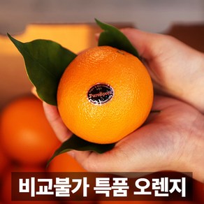 물가안정 금메달농수산 직수입 퓨어스펙 블랙라벨 오렌지, 1개, 중소과 / 10과