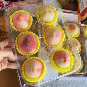 [우연팜] 산지직송 달콤한 경북 복숭아, 1박스, 털복숭아 소과 500g