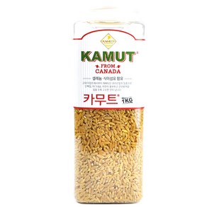 카무트 쌀 호라산밀 1KG 고대 곡물 슈퍼푸드 식이섬유, 1개