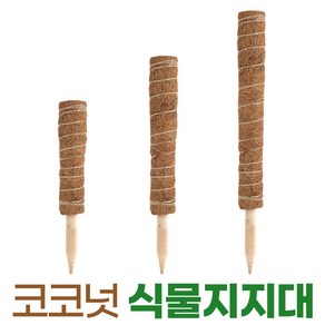 코코넛 식물 지지대 지주대 수태봉 넝쿨 몬스테라 원예, 코코넛지지대-30cm, 1개