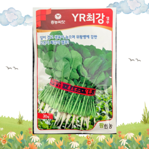 흥농씨앗 YR최강열무 30g, 1개