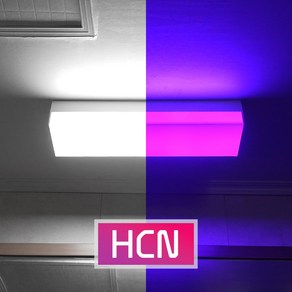 HCN NON-자외선 가시광선 화장실 살균조명 LED, (단품)다운라이트 6인치, 4000K 전구색, 셀프설치(무료배송), 1개