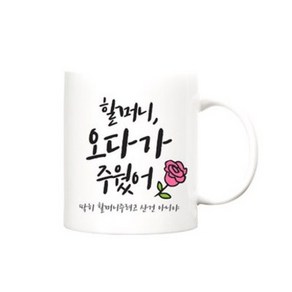 beyston 만수무강 카네이션 머그컵, 만수무강_할머니, 1개