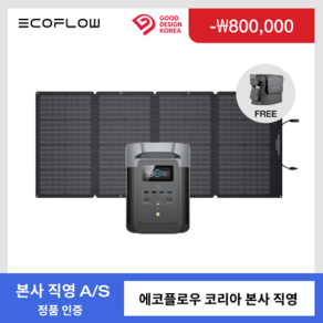 [가방 증정] 에코플로우 파워뱅크 델타2+ 160W 태양광 패널 DELTA 2 대용량 고속충전 캠핑용 휴대용 220V LFP 인산철 배터리, 블랙, 1세트