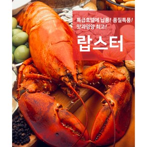 프리미엄 자숙랍스타 삶은 랍스타 1마리 400-500g, 1개