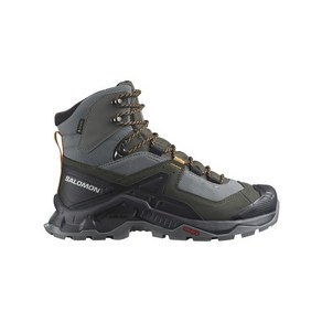 SALOMON 퀘스트 엘리먼트 GTX - 퓨터:벨루가:벅스킨 / L47157300