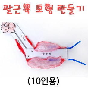 팔근육모형 만들기(10인용), 1개