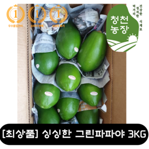 [최상품] 은은한 단맛이 나는 그린파파야 3KG 부드러운 그린 파파야 쏨땀 식자재 태국 음식 신선한 파파야향 필리핀 동남아 과일 음식 그린망고 팟타이 솔로파파야 WORLDFOOD, 1개