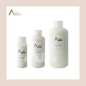 미니페인트 ALL바르다 바니쉬 친환경 수성 코팅제 소량페인트, (무광) 바니쉬 100ml, 1개