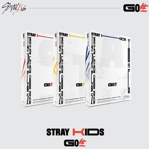 스트레이키즈 Stay Kids Go 일반반 고생 버전선택, C TYPE (블루)