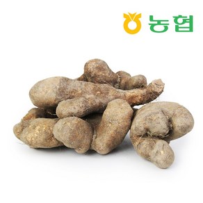 친환경팔도 [북안동농협] 안동 산마 (못난이) 2kg 3kg 5kg, 1개