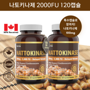 나토키나제 2000FU 120캡슐 나토키나아제 100mg 허바 캐나다