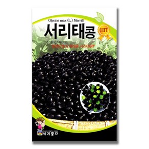 모칸도 세계종묘 서리태콩30g, 1개
