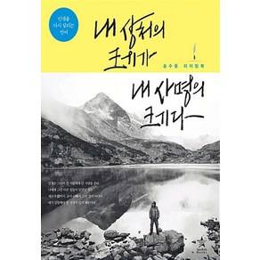 내 상처의 크기가 내 사명의 크기다:인생을 다시 살리는 언어 | 송수용 라이팅 북