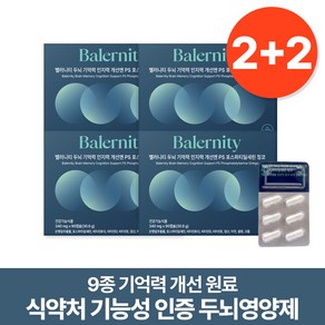 밸러니티 9종기능성 두뇌영양제 기억력 인지력개선 포스파티딜세린 은행잎추출물 징코, 4개, 90정