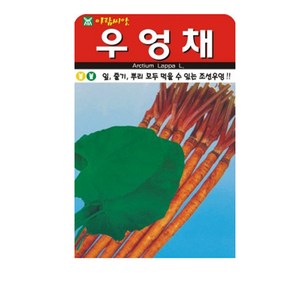 SN월드 씨앗 민속특수씨앗 약초 곰취 냉이 와송 삼채 더덕 도라지 당귀 잔디, 1개