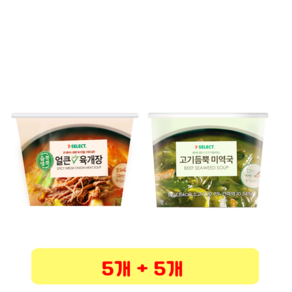 얼큰 대파 육개장 28g + 고기 듬뿍 미역국 10g, 5개