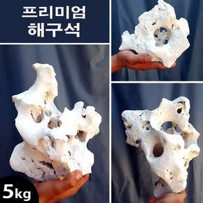 프리미엄 해구석 5kg /수족관 어항 수조 바닥재 장식품 돌 자연석 조경석 수석 구피 해수어 시클리드 니모, 1개