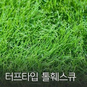 코리아팜 터프타입 톨훼스큐1kg, 1개