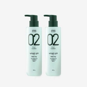 아모스프로페셔널 1+1 아모스 녹차실감 중건성 촉촉한타입 500g 지성 두피케어 미용실 모발용 샴프 556759, 녹차실감 중건성용 500g 촉촉한타입x2개