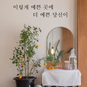 뮤즈 이렇게 예쁜 곳에 레터링 감성 글귀 스티커 시트지, 검정