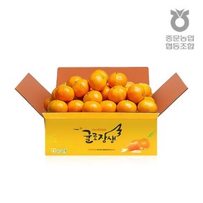 농협중앙회 [제주 중문농협] 귤로장생 감귤 대과 10kg, 중량:10kg, 수량:1BOX