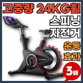 프로휠22 휠무게 22KG 스피닝자전거 사이클 운동기구 실내자전거 헬스기구, 일반형