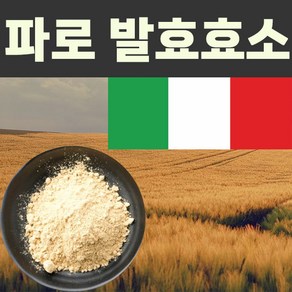 파로 프리미엄 곡물 발효 효소 이탈리아 파로효소분말, 5개, 100g