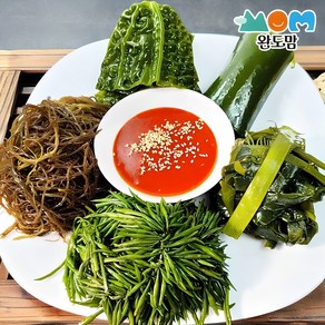 완도맘 손질하여 데친 완도 해초 모듬한상 120gx5팩 (곰피미역+톳+다시마+물미역+꼬시래기)