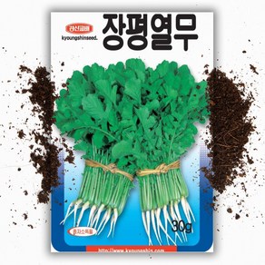 열무씨앗 장평열무 (30g)봄 가을 열무씨 부드럽고 고소한 열무 종자, 1개