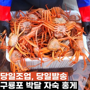 진실수산 수율90% 포항 구룡포 자숙 박달 홍게, 1박스, 포항 박달홍게 3kg 8~11미 일반용수율70%내외