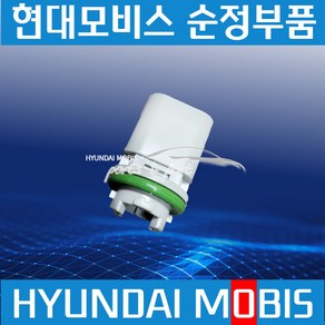 넘버등 번호판등 소켓 홀더 뉴파워텍 트라고 메가트럭 엑시언트 926128A110